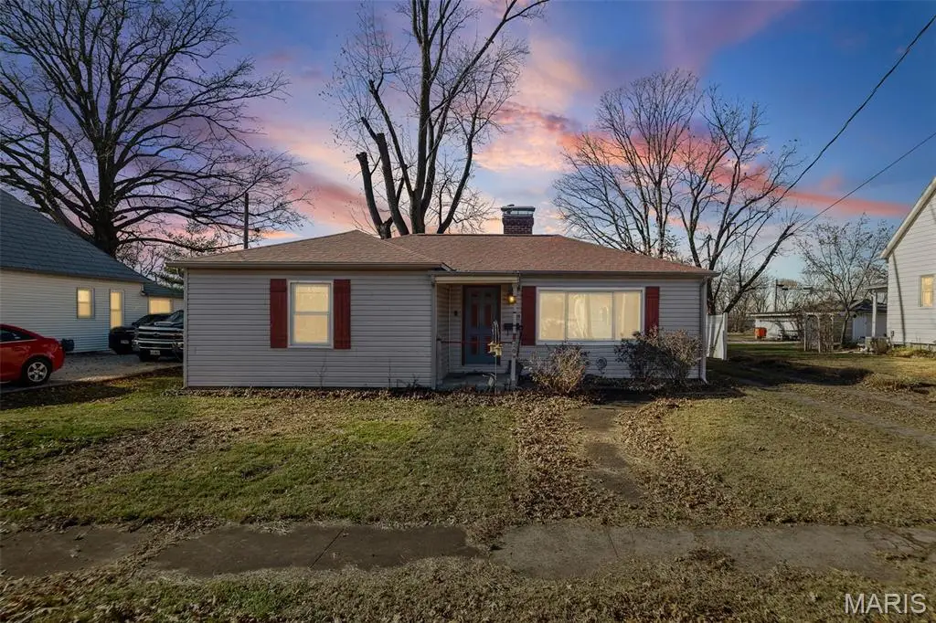 204 S Euclid Avenue, Marissa, IL 62257 - #1