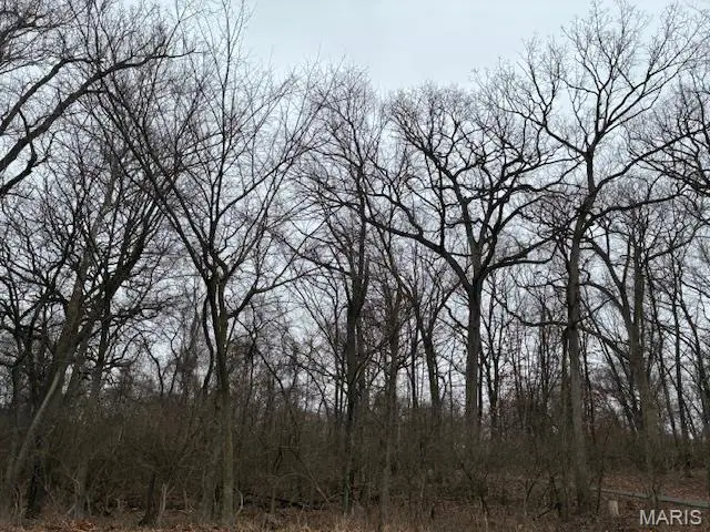 Lot36 BLOCKF Red Bud Drive, Catawissa, MO 63015 - Image #2