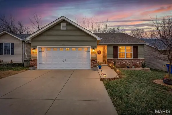313 Andy Habsieger Street, Festus, MO 63028