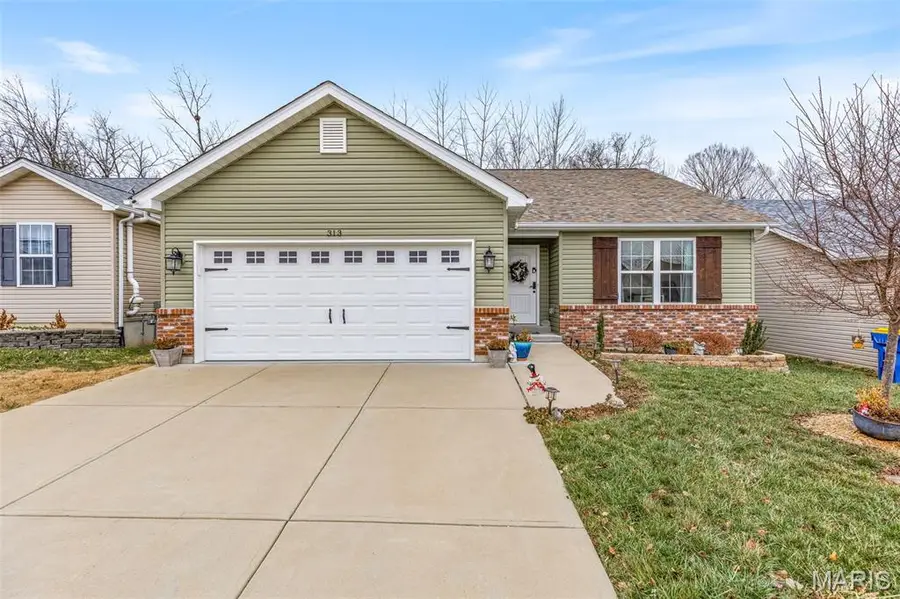 313 Andy Habsieger Street, Festus, MO 63028 - Image #3