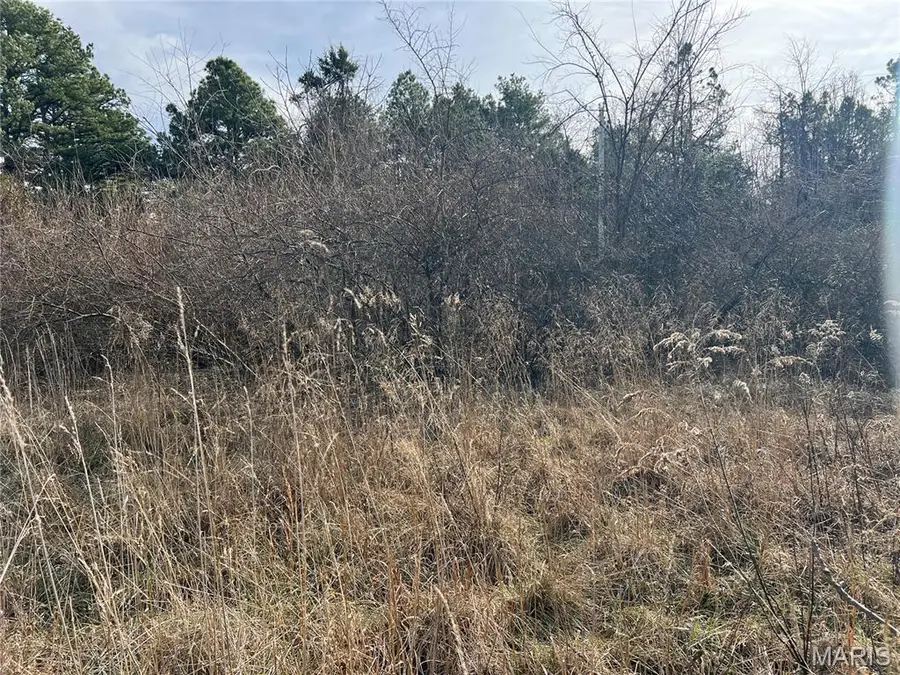 0 Highway T, Perryville, MO 63775 - Image #2