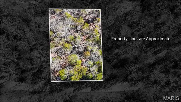 10314 Lake Hill Trail, Hillsboro, MO 63050