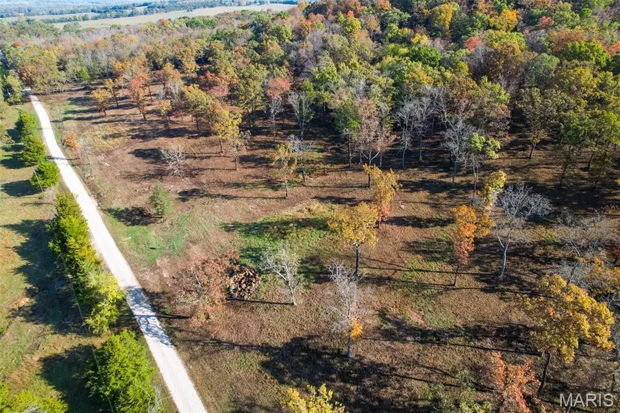 000 County Road 20a_170+/-, Belleview, MO 63623 - Image #2