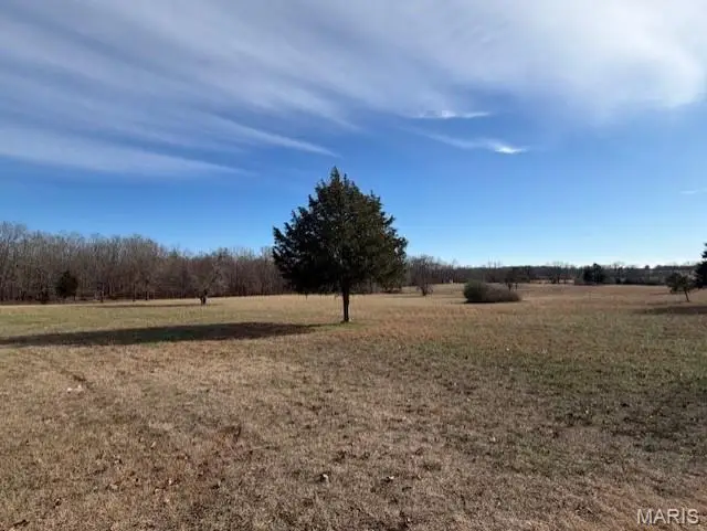 202 Wilkison, Doniphan Township, MO 63035 - Image #2