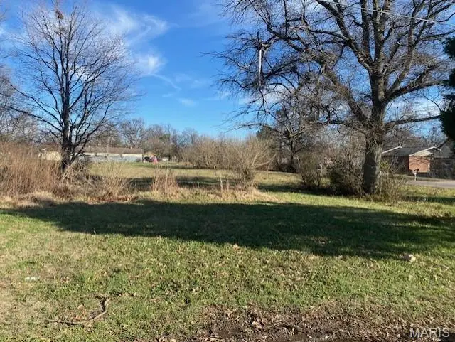 00000 First Street/martin Luther King Dr, Hayti, MO 63851 - Image #3