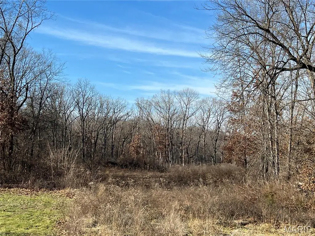 431 Piper Court, Troy, MO 63379 - Image #1