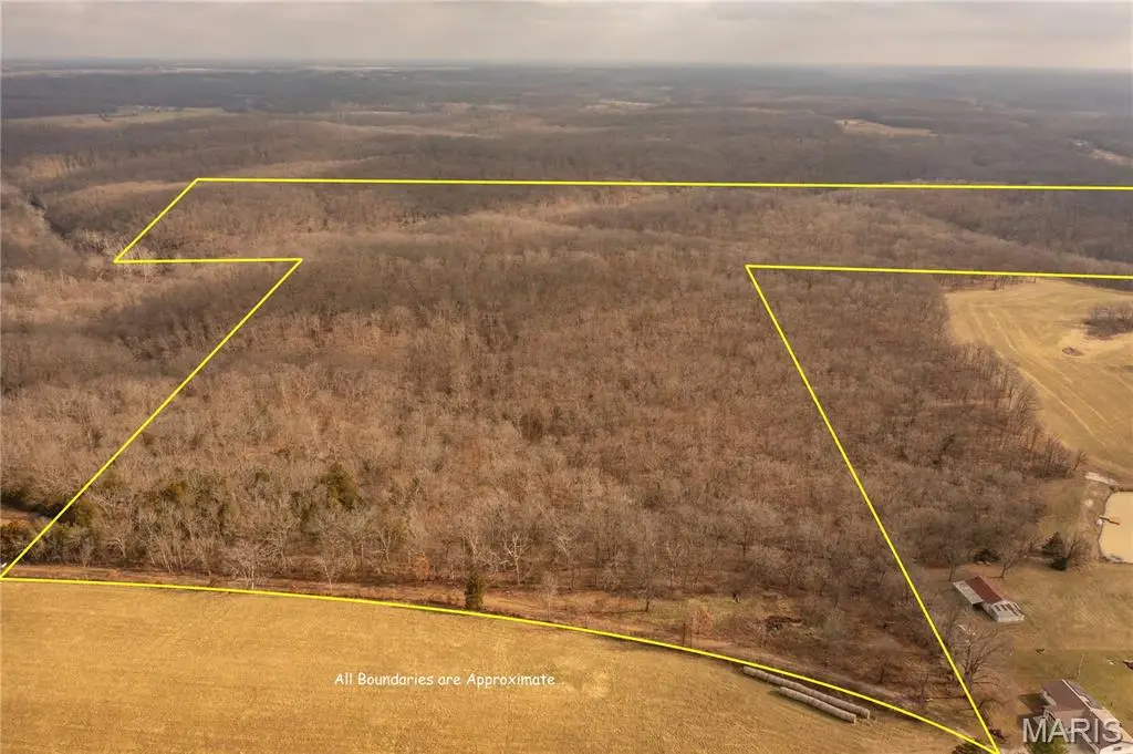 0 Abbott Rd, Bellflower, MO 63333 - Image #1