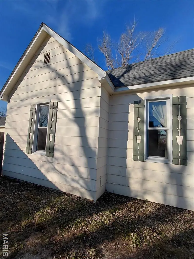 300 S Mine La Motte Street, Fredericktown, MO 63645 - Image #3