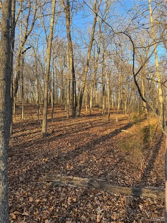 000 Texas Road, Saint Robert, MO 65584 - #3