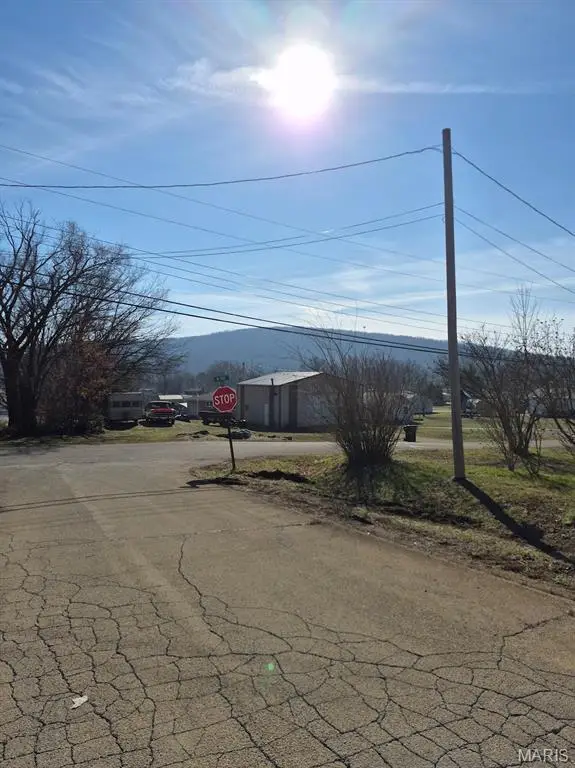 308 N Mccune Street, Pilot Knob, MO 63663 - Image #3