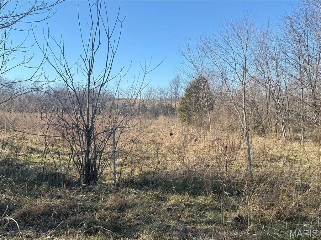 0 Bcr 352, Marble Hill, MO 63764 - Image #1