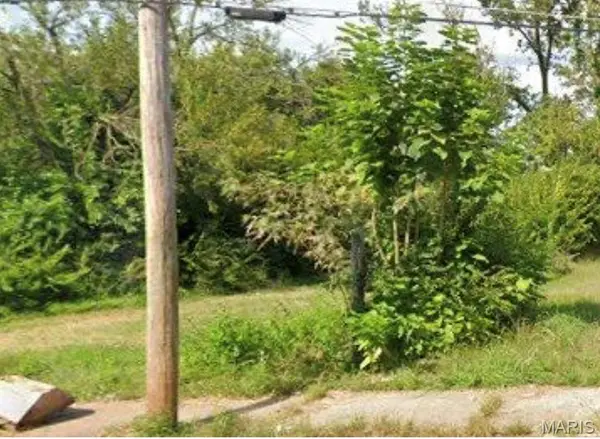 3931 Lee Avenue, St Louis, MO 63107