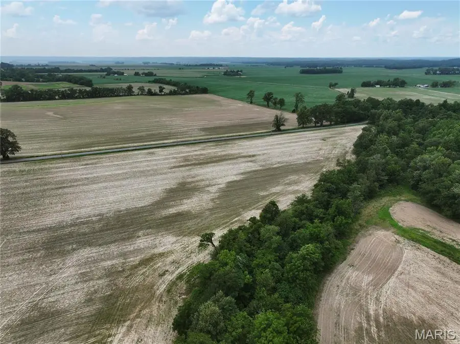 Tract 2, Off County Road 259, Advance, MO 63730 - Image #3