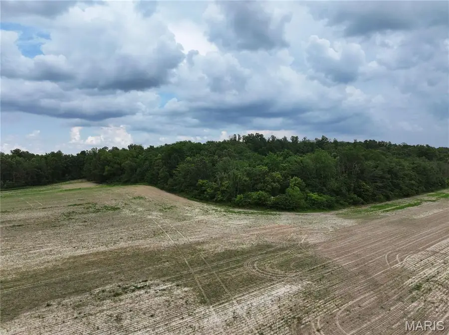 Tract 3, Off County Road 259, Advance, MO 63730 - Image #3