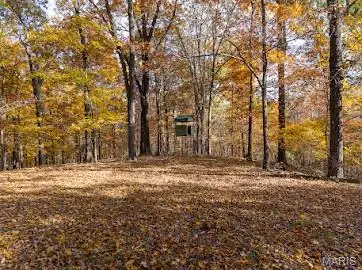 0 Hohokam Lane, Jackson, MO 63755 - Image #2