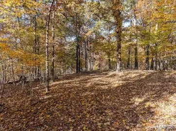 0 Hohokam Lane, Jackson, MO 63755 - Image #3