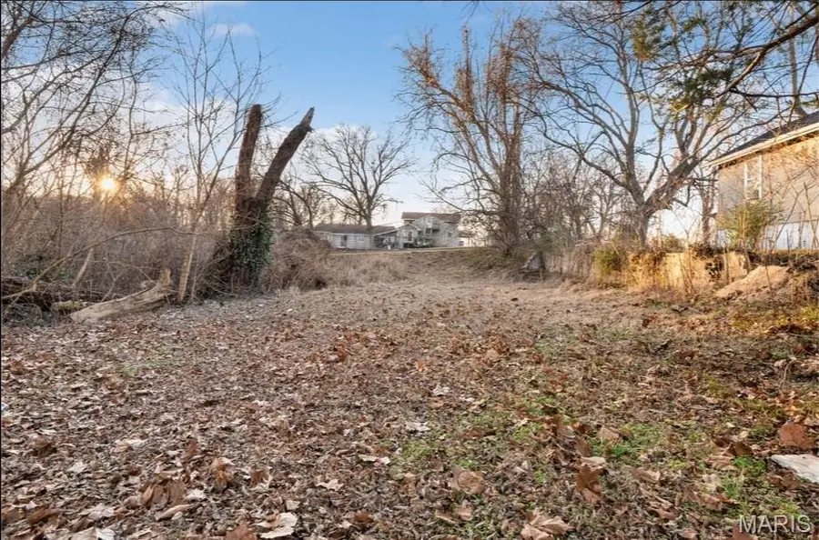 1223 S Pacific Street, Cape Girardeau, MO 63703 - #3