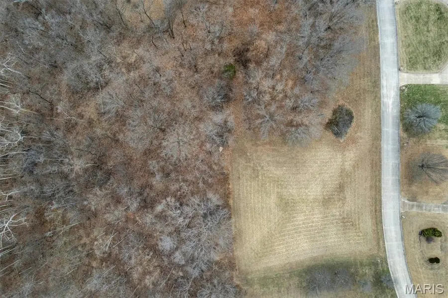 14842 Homestead Estates Drive, Florissant, MO 63034 - Image #2