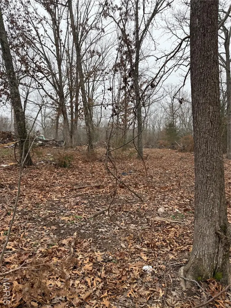 25840 Rim Drive, Waynesville, MO 65583 - #2