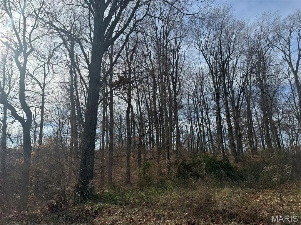 204 Stepping Stone Way, Cape Girardeau, MO 63701 - #1