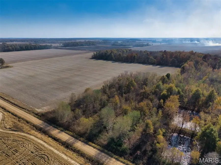 0 County 638 Road, Fisk, MO 63940 - Image #3