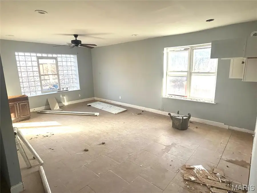 3719 Pennsylvania Avenue, Saint Louis, MO 63118 - Image #2