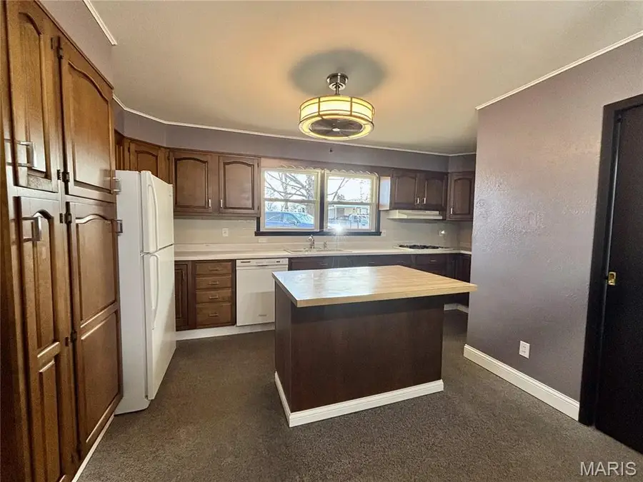 6224 Jo Ann Drive, Belleville, IL 62223 - Image #2