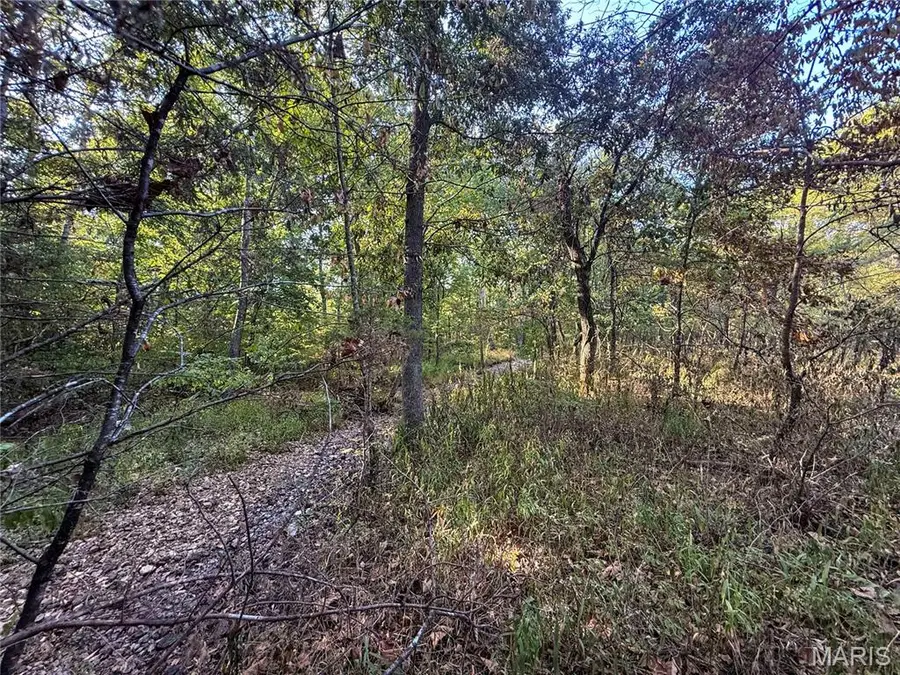 8316 Rock Creek Road, Fredericktown, MO 63645 - Image #3