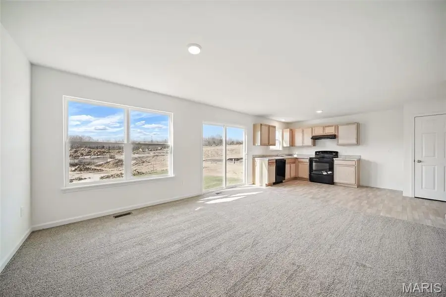 706 Courtshire Crossing, Truesdale, MO 63380 - Image #3