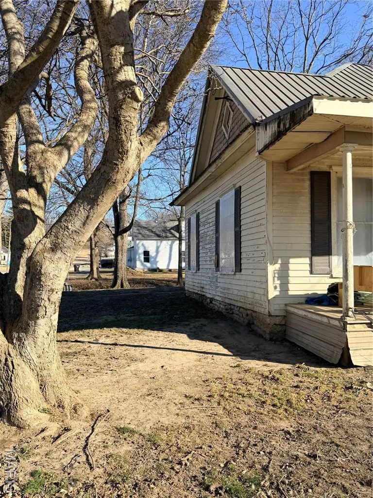 202 College Street, Pleasant Hill, IL 62366 - Image #2