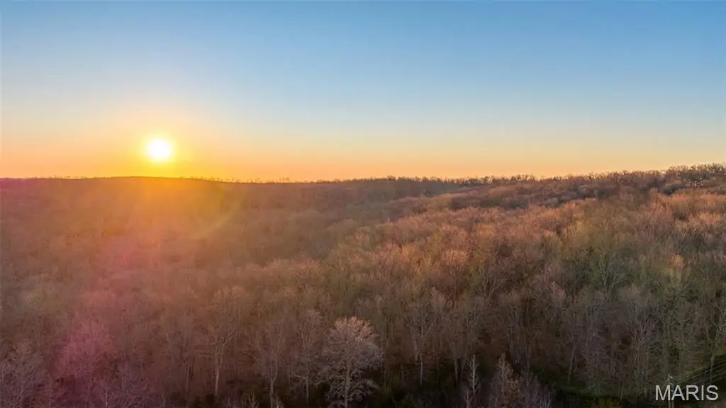 000 TBD Hwy F, Potosi, MO 63664 - Image #1