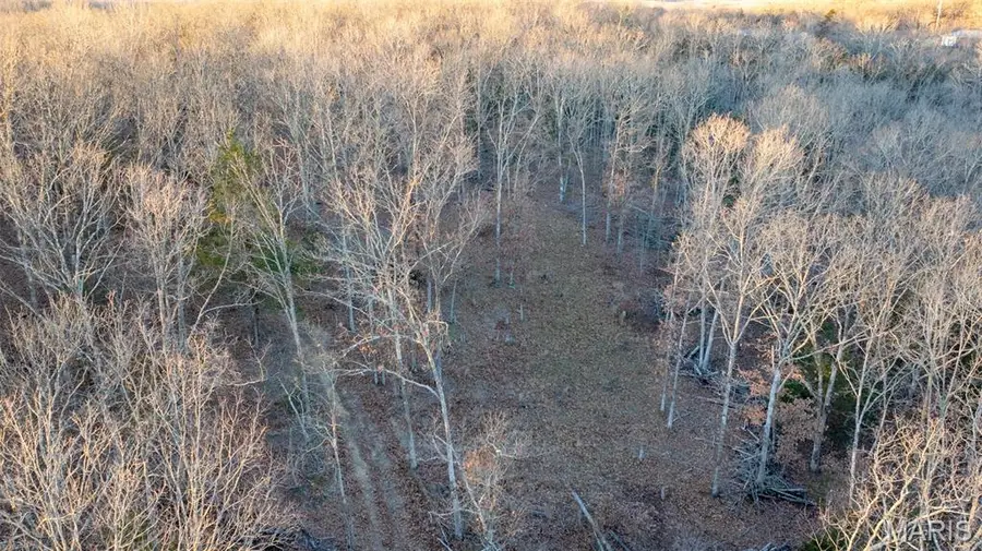 000 TBD Hwy F, Potosi, MO 63664 - Image #3