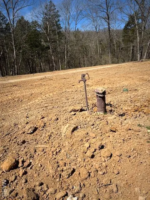 400 Hill Side Road, De Soto, MO 63020 - Image #3