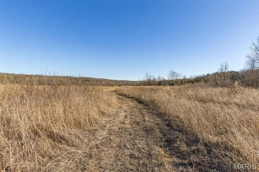 10174 Peacock Road, Blackwell, MO 63626 - Image #2