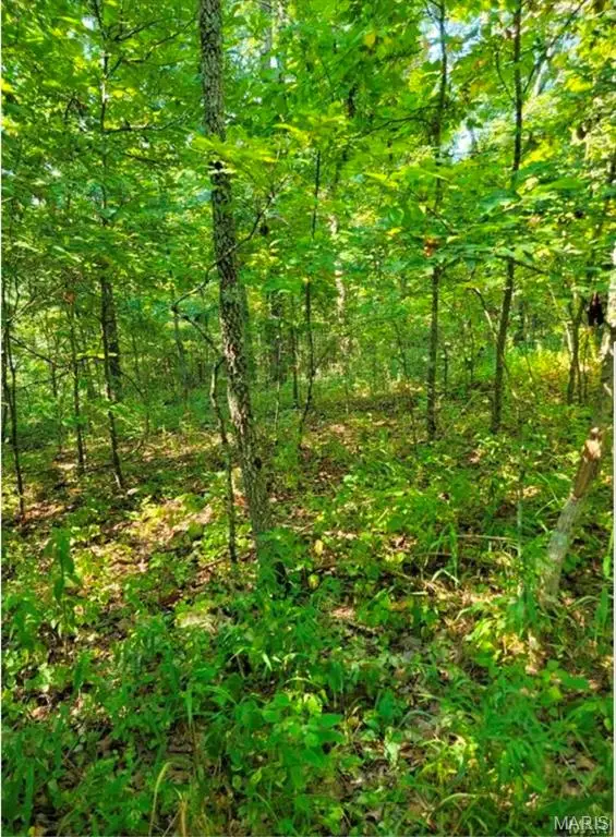 00 County Highway 410, Ellington, MO 63638 - Image #2