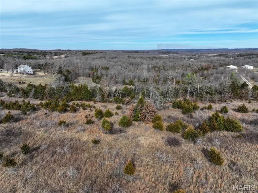 15+/- Acres County Road 8420, Rolla, MO 65401 - Image #3