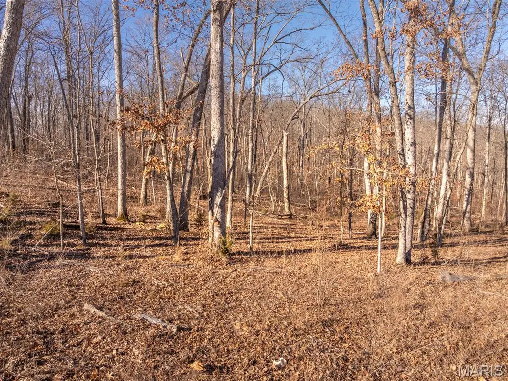 2832 Morgan Lake Drive, Innsbrook, MO 63390 - Image #1