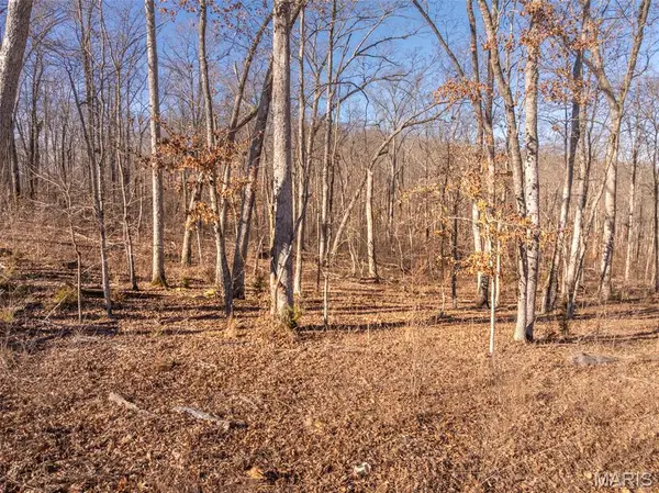 2832 Morgan Lake Drive, Innsbrook, MO 63390