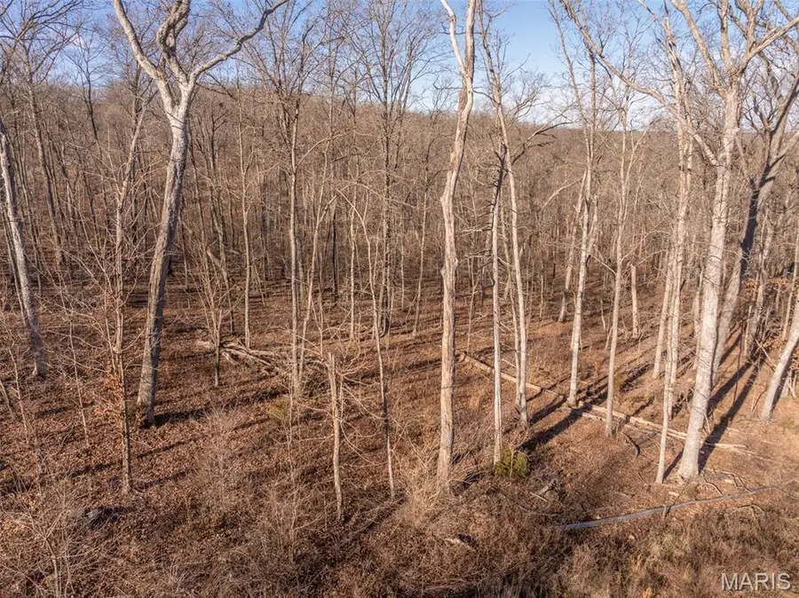 2832 Morgan Lake Drive, Innsbrook, MO 63390 - Image #2