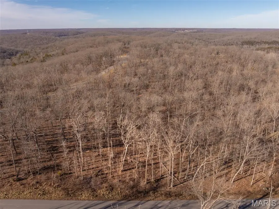 2832 Morgan Lake Drive, Innsbrook, MO 63390 - Image #3