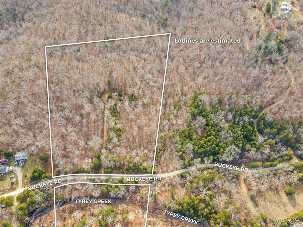 9106 Buckeye Road, Dittmer, MO 63023 - #1