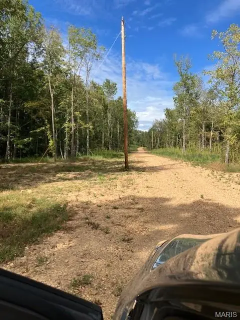 116 Madison Cr 410, Fredericktown, MO 63645 - Image #3