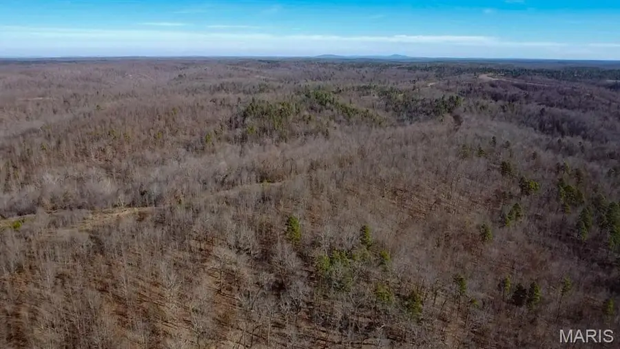 TBD Carter D-304, Van Buren, MO 63965 - Image #3