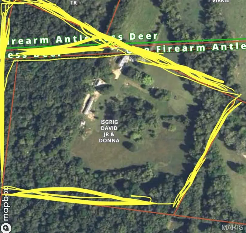 2390 Buford Road, Bellevue, MO 63631 - Image #2