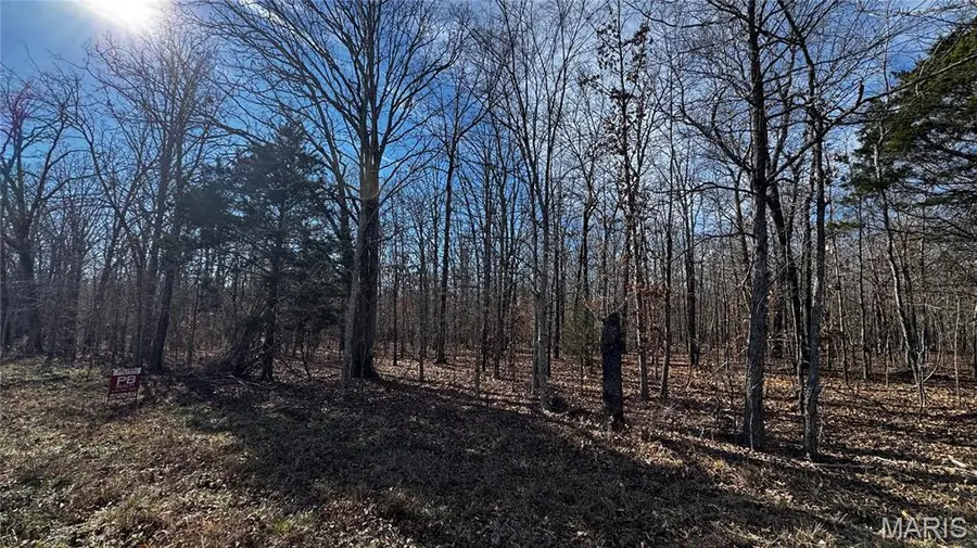 2419 Ripley Rt. Bb, Fairdealing, MO 63939 - Image #3