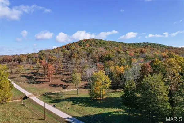 170 County Road 20a_170+/-, Belleview, MO 63623