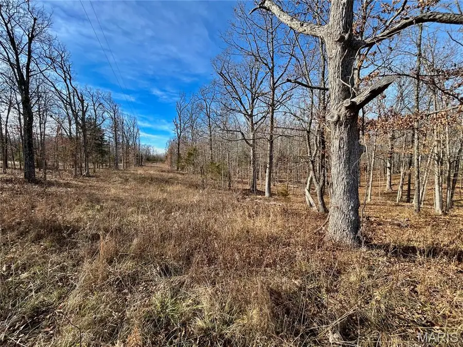 N Highway 19, Salem, MO 65560 - Image #3