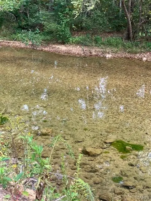 129 Madison Cr 410, Fredericktown, MO 63645 - Image #2