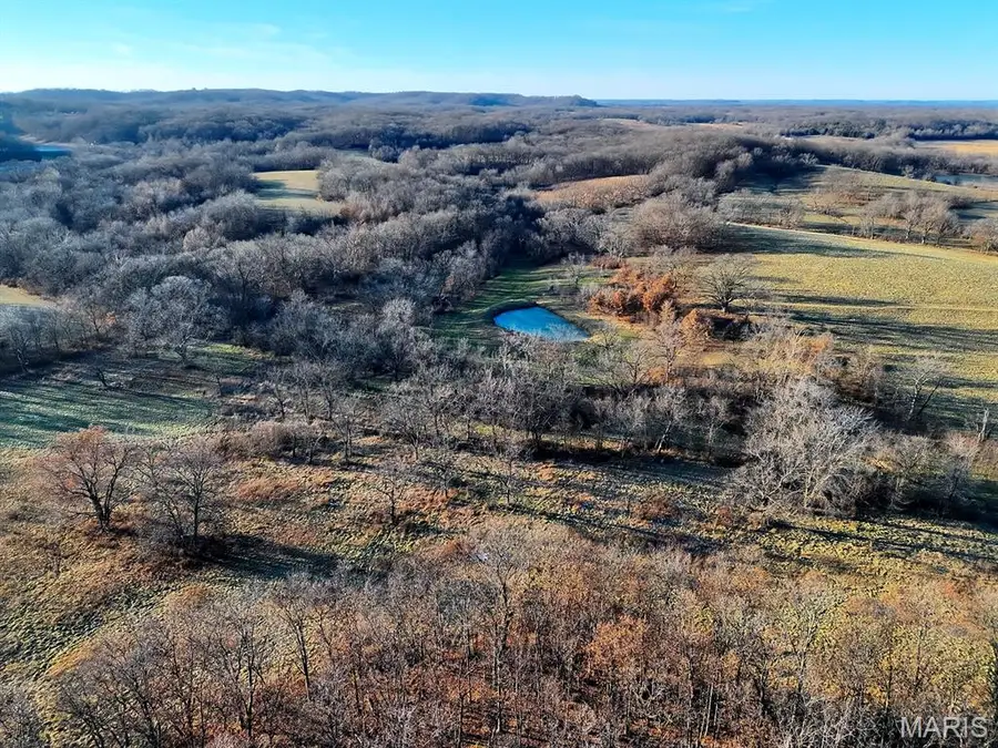 00 Highway D (77.2 +/- Acres ) Tract 1, Eolia, MO 63344 - Image #2