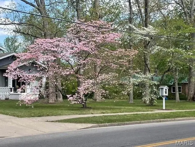 645 Salem Avenue, Rolla, MO 65401 - Image #3